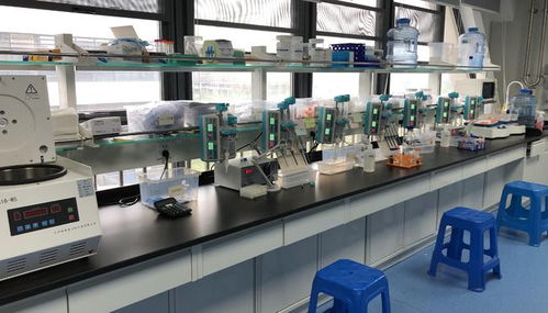 早篩創(chuàng)新與科技融合，天浚元生生物獲國高生物戰(zhàn)投，領(lǐng)跑教育科技軟件研發(fā)新賽道